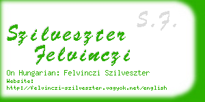 szilveszter felvinczi business card